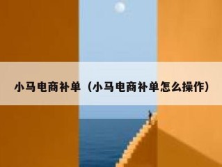 小马电商补单（小马电商补单怎么操作）