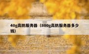 40g高防服务器（800g高防服务器多少钱）