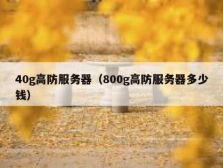 40g高防服务器（800g高防服务器多少钱）