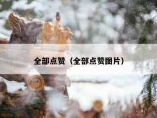 全部点赞（全部点赞图片）