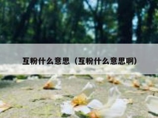 互粉什么意思（互粉什么意思啊）