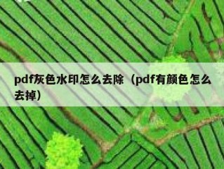 pdf灰色水印怎么去除（pdf有颜色怎么去掉）