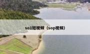 so1短视频（sop视频）