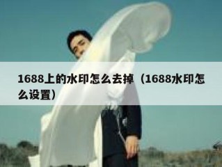 1688上的水印怎么去掉（1688水印怎么设置）