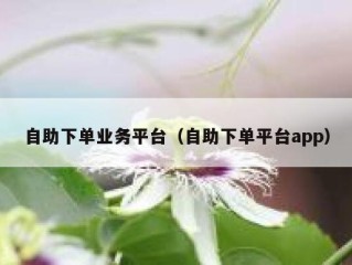 自助下单业务平台（自助下单平台app）