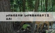 pdf水印去不掉（pdf有些水印去不了怎么办）