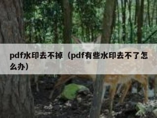 pdf水印去不掉（pdf有些水印去不了怎么办）