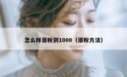 怎么样涨粉到1000（涨粉方法）