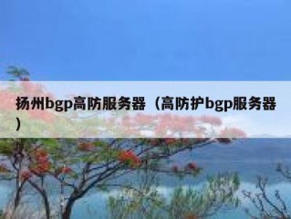 扬州bgp高防服务器（高防护bgp服务器）