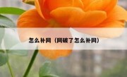 怎么补网（网破了怎么补网）