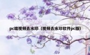 pc端视频去水印（视频去水印软件pc版）