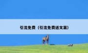 引流免费（引流免费送文案）