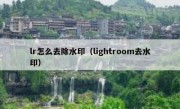 lr怎么去除水印（lightroom去水印）