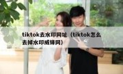 tiktok去水印网址（tiktok怎么去掉水印威锋网）