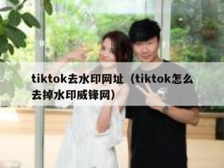 tiktok去水印网址（tiktok怎么去掉水印威锋网）