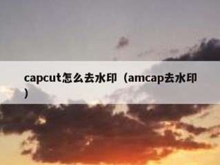 capcut怎么去水印（amcap去水印）