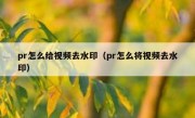 pr怎么给视频去水印（pr怎么将视频去水印）