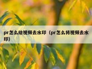 pr怎么给视频去水印（pr怎么将视频去水印）