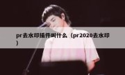 pr去水印插件叫什么（pr2020去水印）