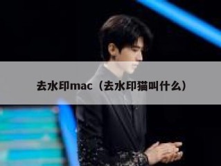 去水印mac（去水印猫叫什么）