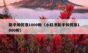 新手如何涨1000粉（小红书新手如何涨1000粉）