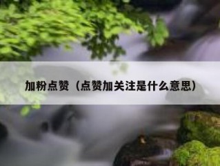 加粉点赞（点赞加关注是什么意思）