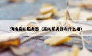 河南高防服务器（高防服务器有什么用）