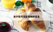 关于短马交配视频的信息