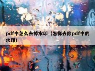 pdf中怎么去掉水印（怎样去除pdf中的水印）