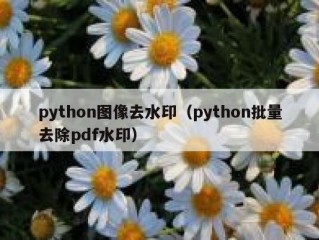 python图像去水印（python批量去除pdf水印）